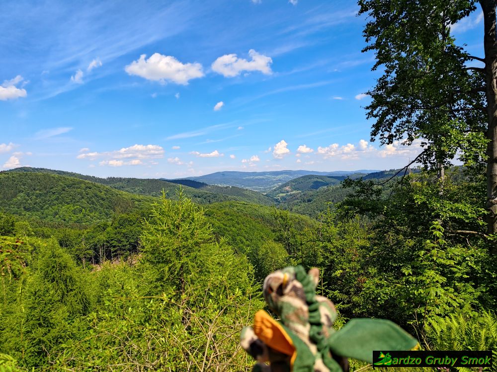 widok na wschód