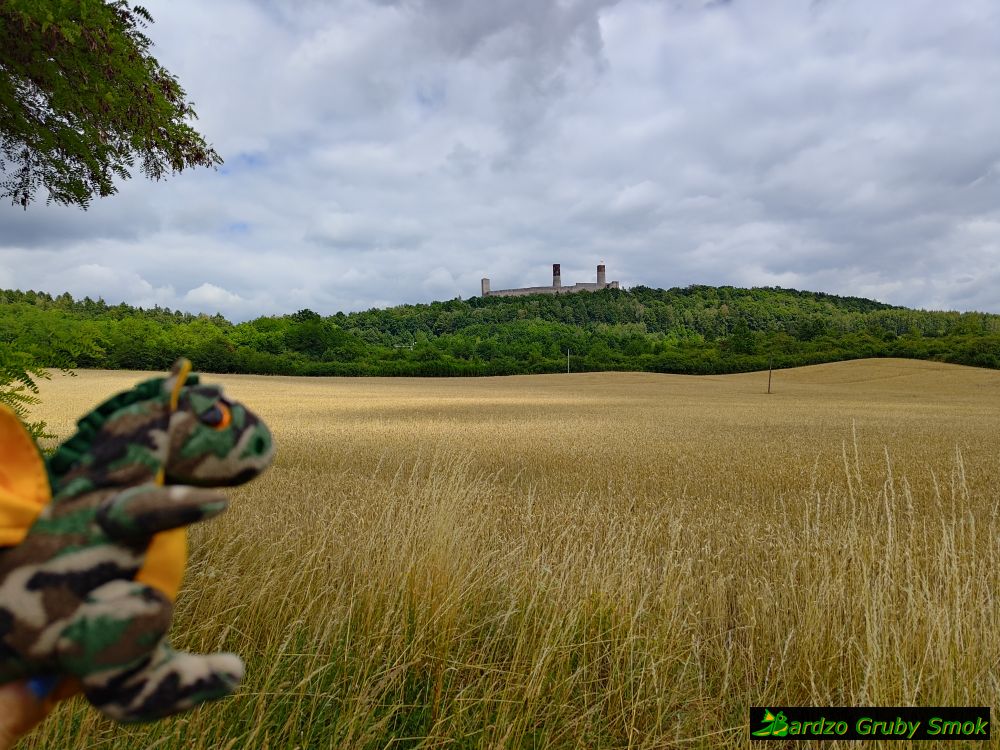 widok na zamek w Chęcinach