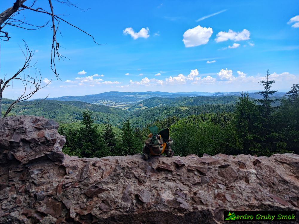 widok z ruin owczarni