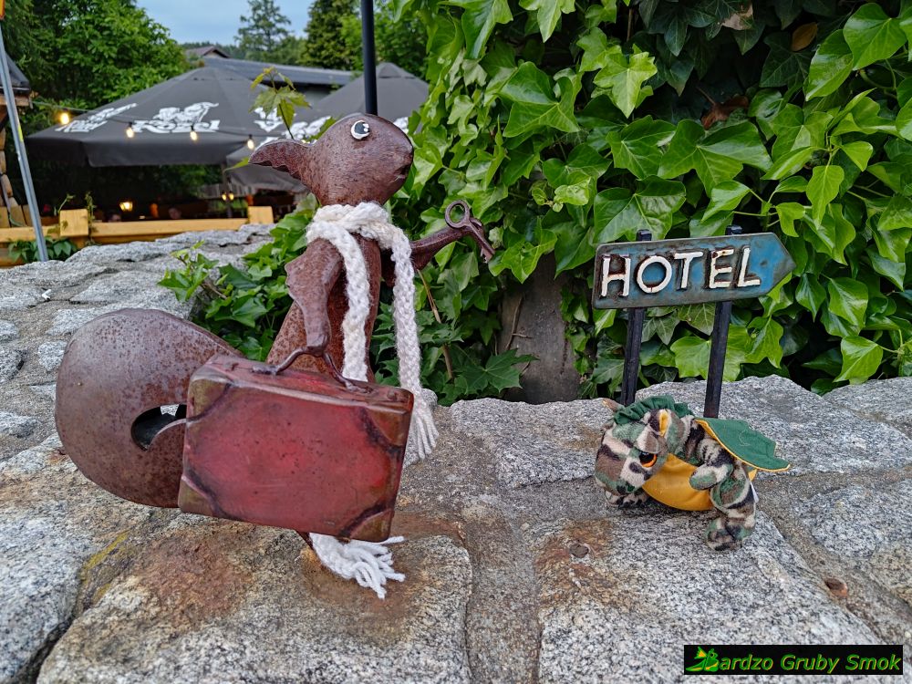 wiewiórka w hotelu