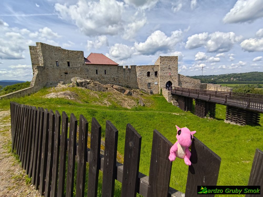 zamek w Dobczycach