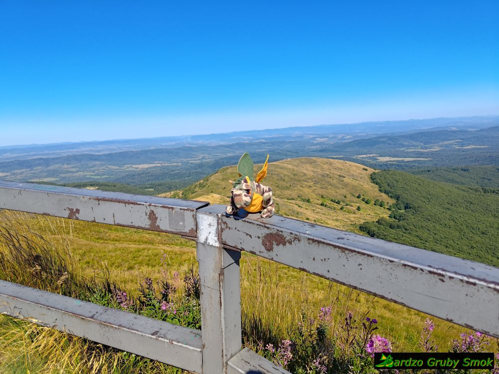widok na wschód