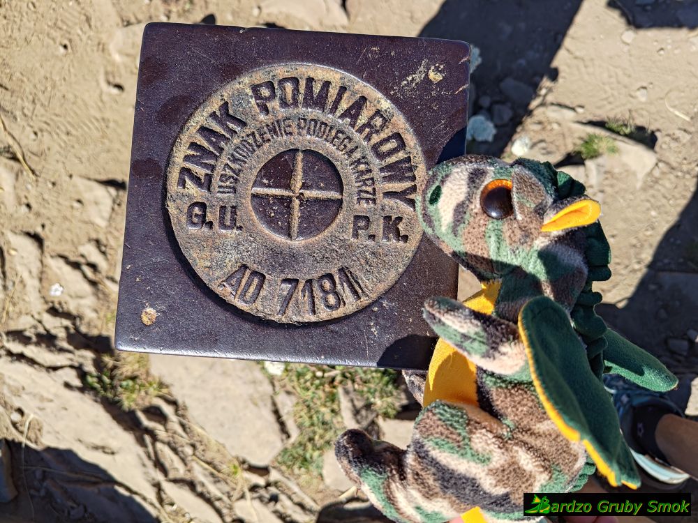 znak pomiarowy
