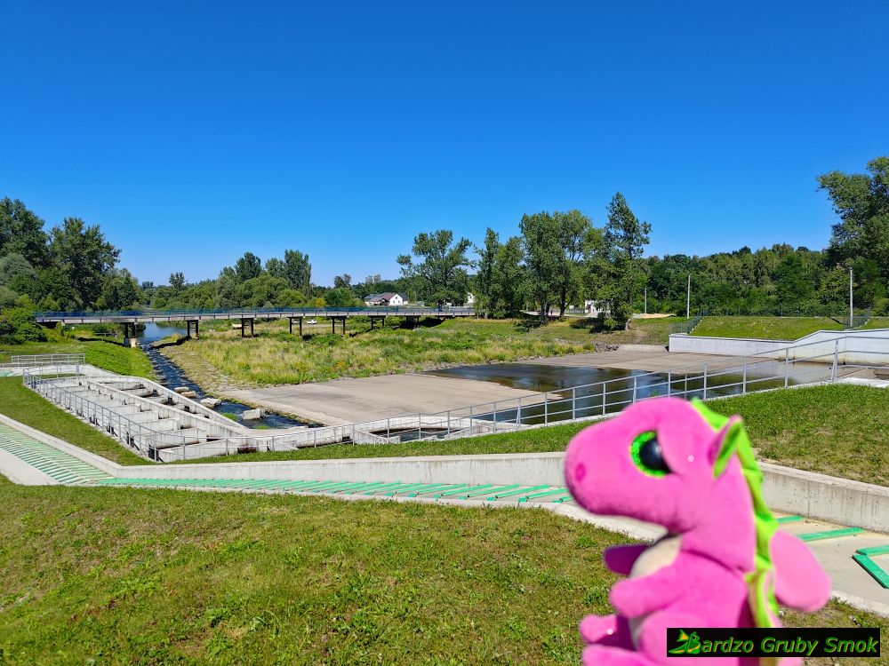 MEW Grodzisko