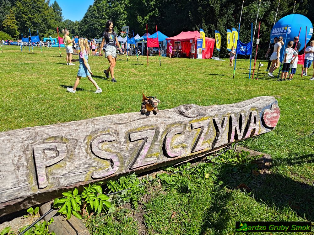 Pszczyna