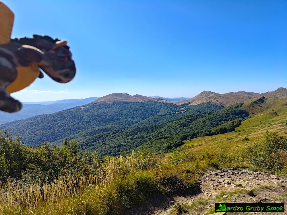 widok na Tarnicę
