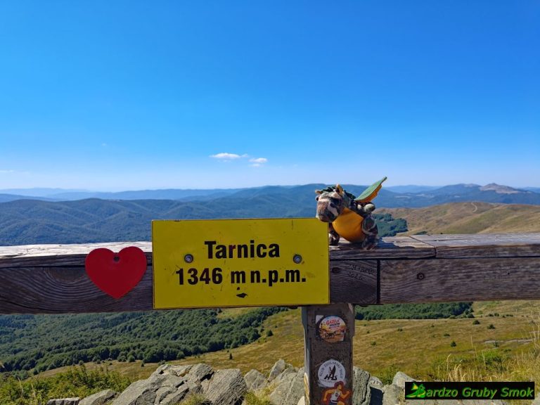 Tarnica