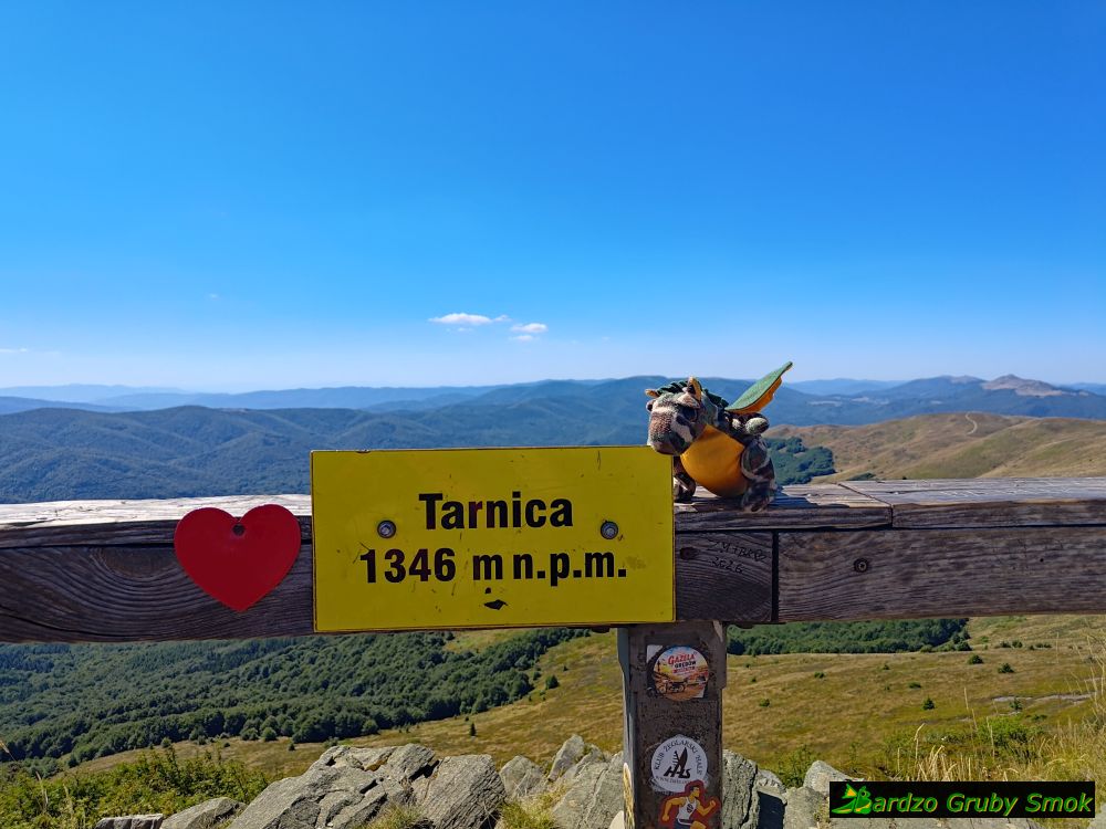 Tarnica