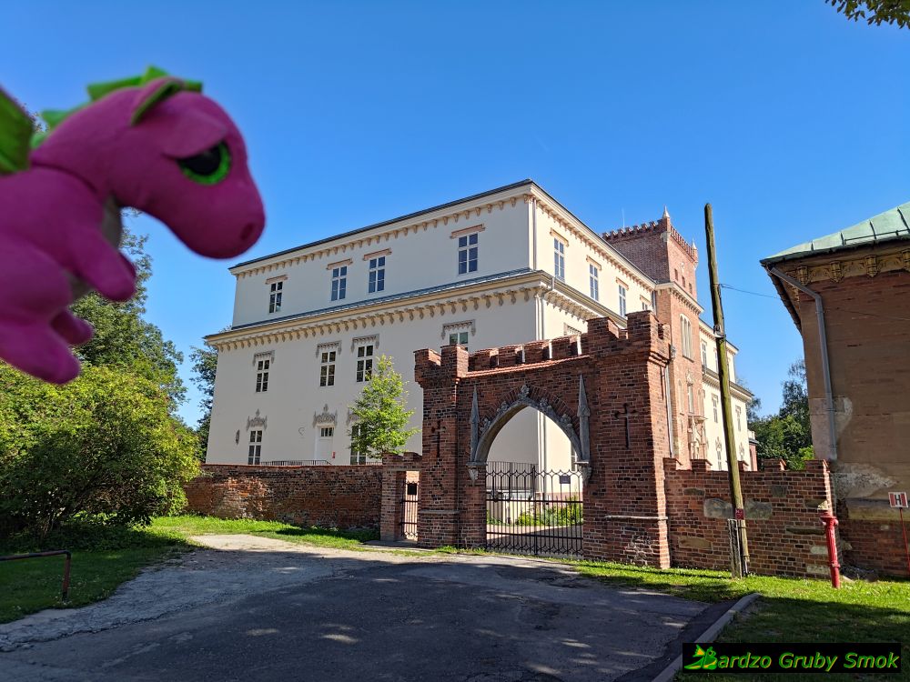 Zamek w Zatorze