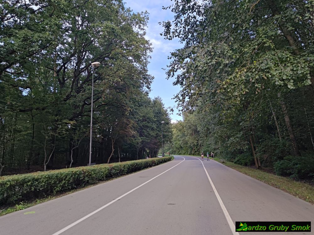 droga dla rowerzystów i rolkarzy