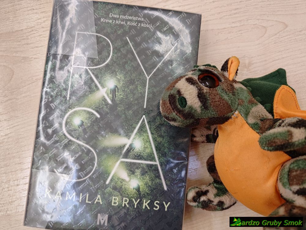 Rysa