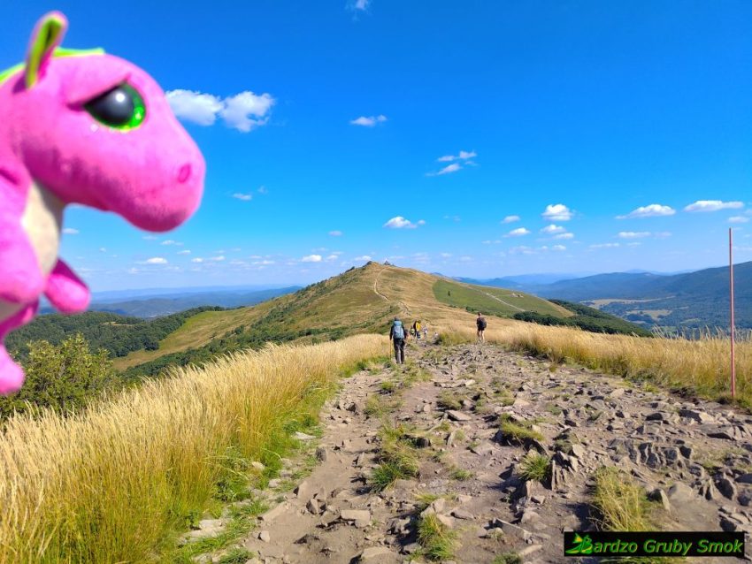 widok na Chatkę Puchatka