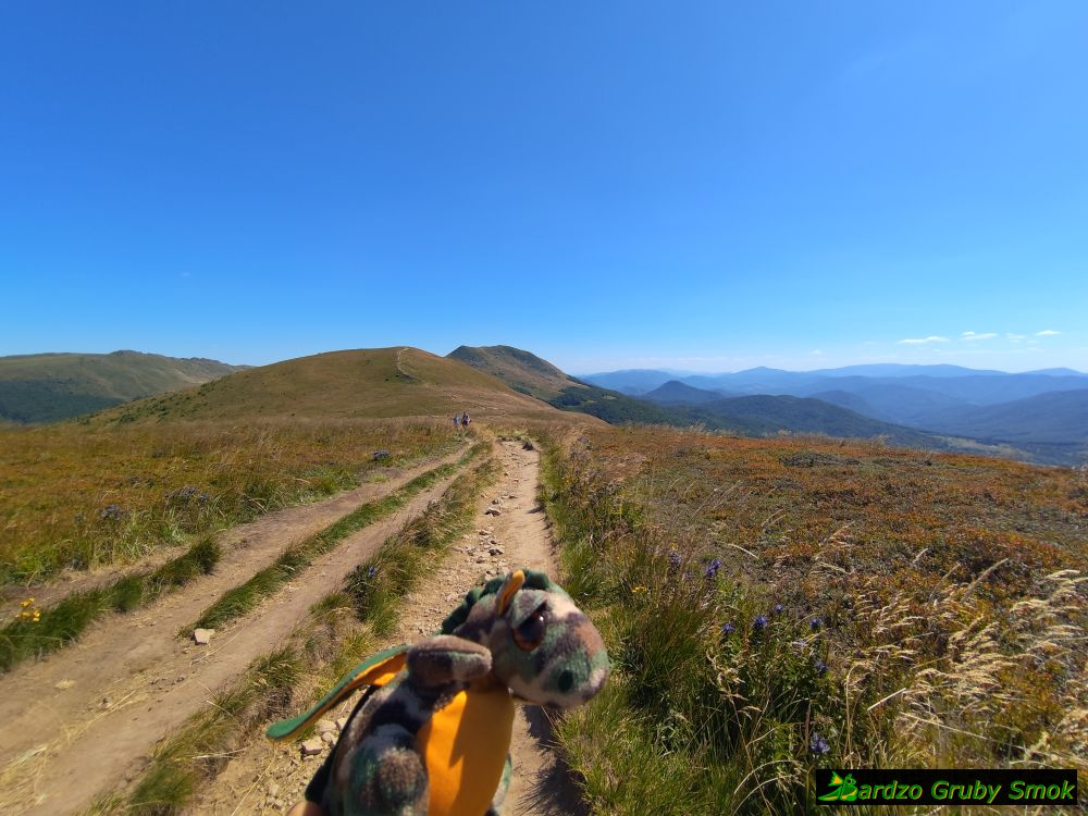 widok na Szeroki Wierch
