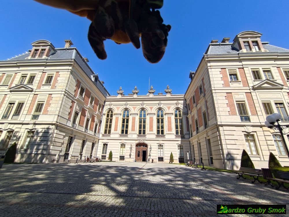 zamek w Pszczynie od tyłu