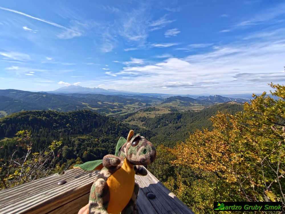 widok na Tatry
