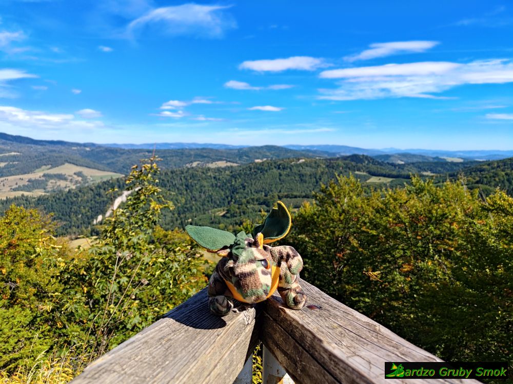 widok na wschód