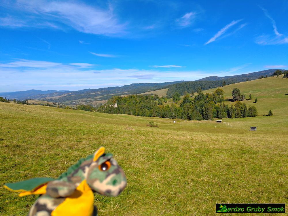 widok na Beskid Sądecki