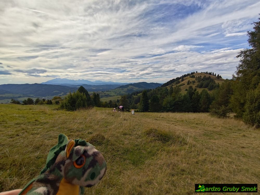 widok na Tatry spod Wysokiego Wierchu