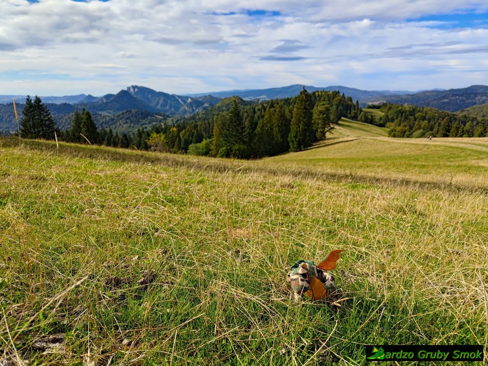 widok na Trzy Korony