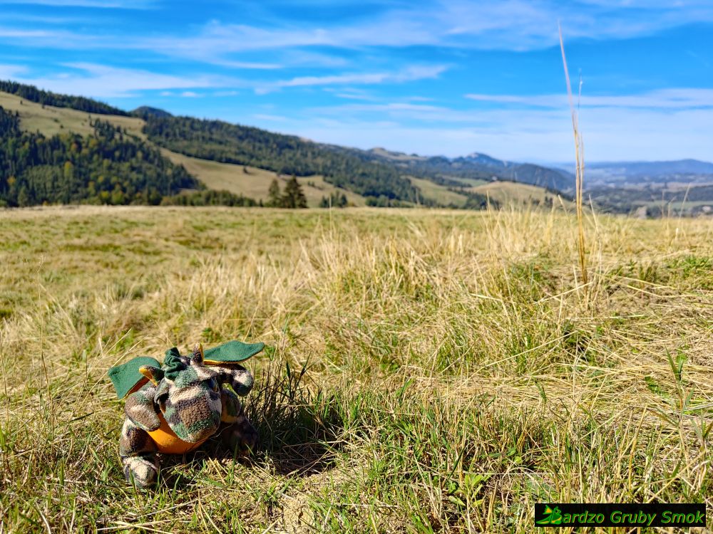 widok na Wysoką i Trzy Korony