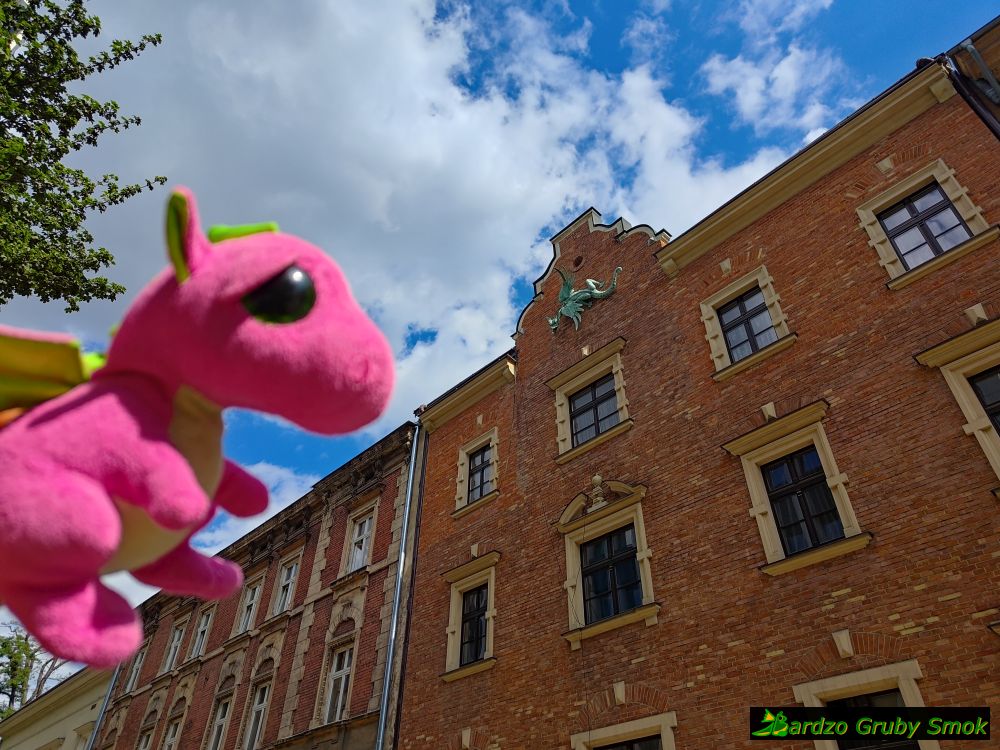 smok na kamienicy